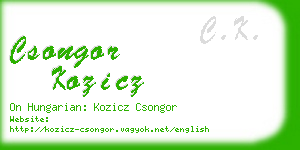 csongor kozicz business card